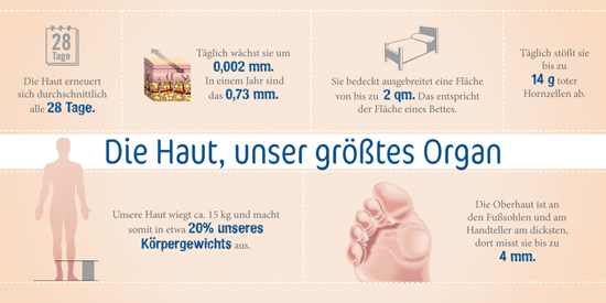 themenshop_hautentzuendungen_novartis_haut.jpg