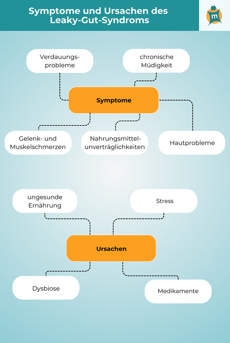 themenshop_leaky_gut_Syndrom_symptome.png