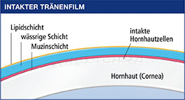 themenshop_trockenes-auge_bepanthen-traenenfilm-intakt.jpg