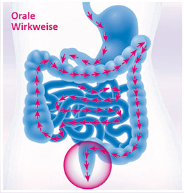 themenshop_verstopfung_microlax-orale-wirkweise.jpg