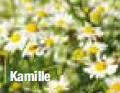 themenshop_zahnpflege_bild04.jpg themenshop_zahnpflege_bild04.jpg