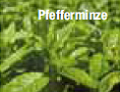 themenshop_zahnpflege_bild06.jpg themenshop_zahnpflege_bild06.jpg