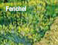themenshop_zahnpflege_bild07.jpg themenshop_zahnpflege_bild07.jpg