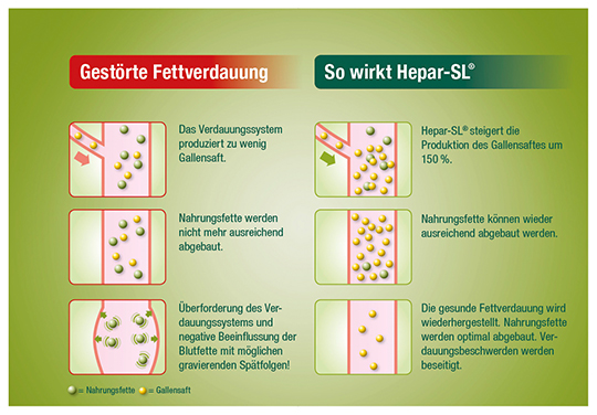 themenshops_verdauungsbeschwerden_hepar-sl-abgabekarte.jpg