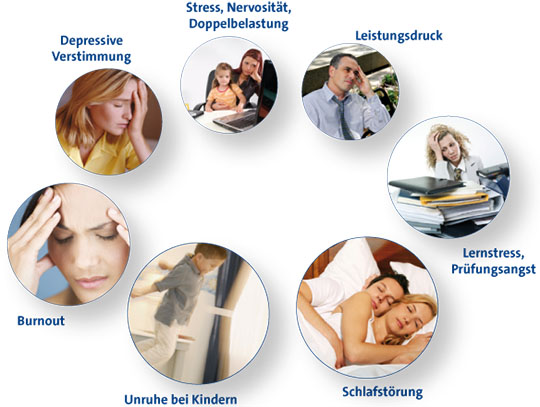 Der Stress-Kreislauf Der Stress-Kreislauf