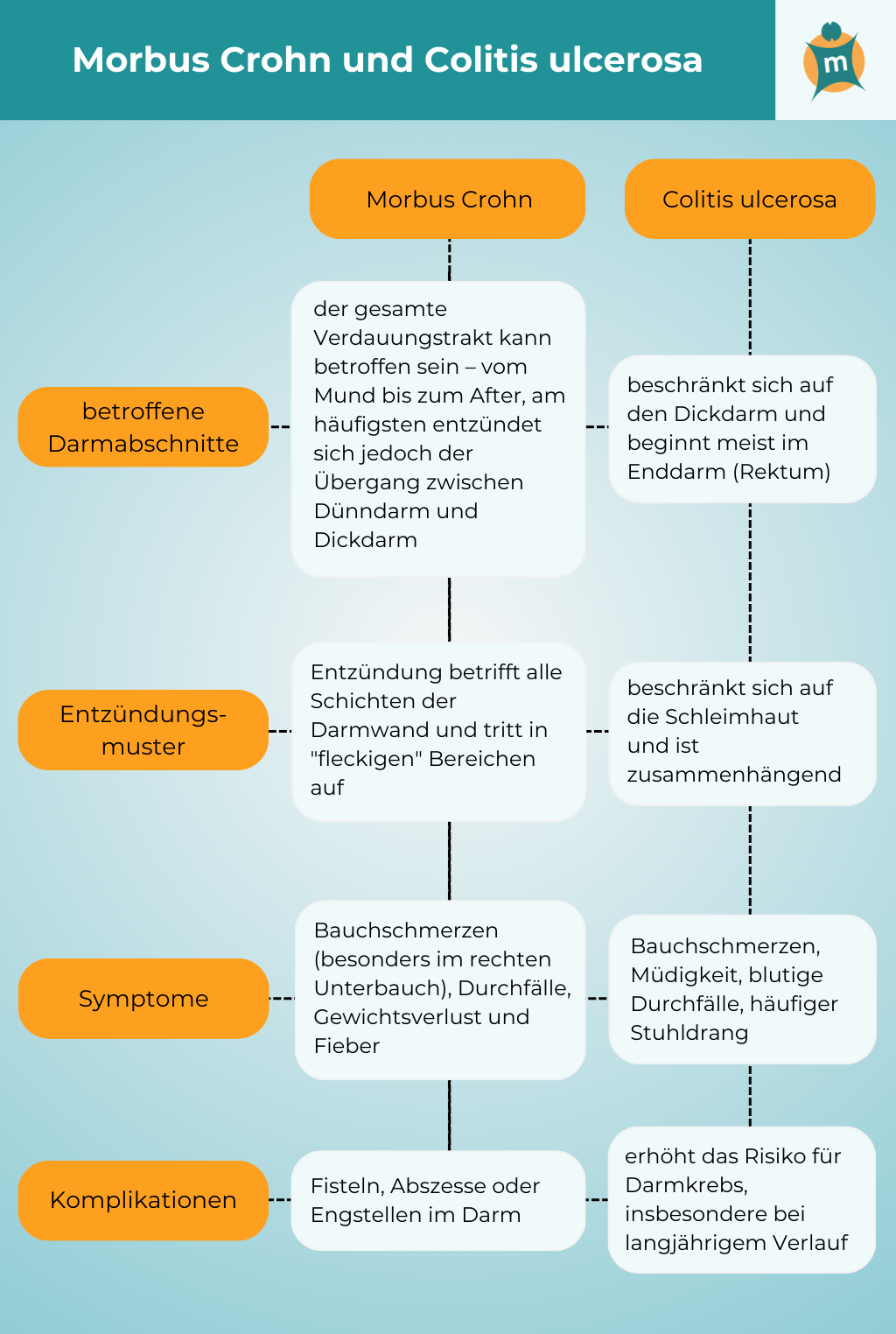 ts_morbus_entzündliche_darmerkrankungen.png