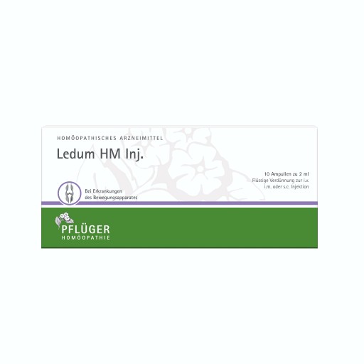 LEDUM HM Injekt Ampullen - 10Stk