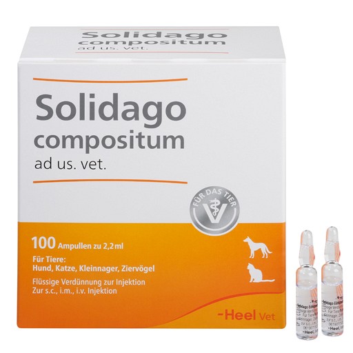 SOLIDAGO COMPOSITUM ad us.vet.Ampullen - 100Stk - SONDERANGEBOTE