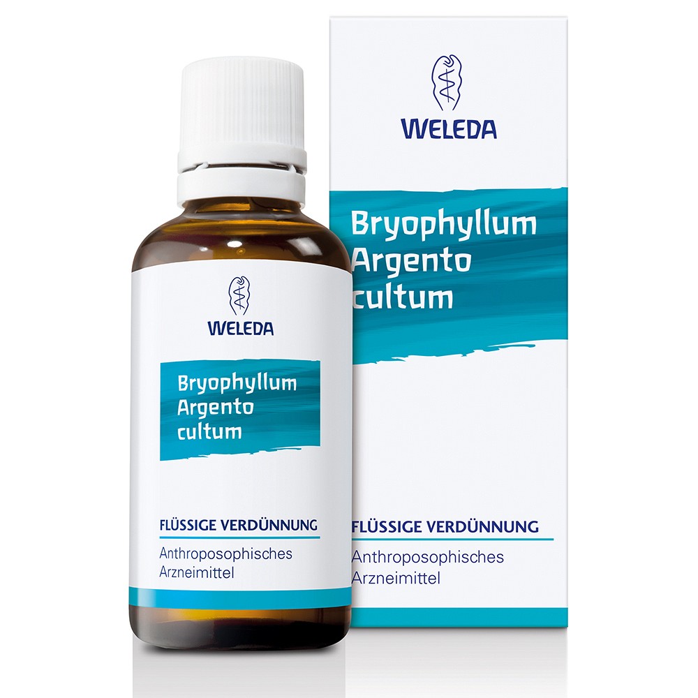 BRYOPHYLLUM ARGENTO cultum D 3 Dilution - 50ml