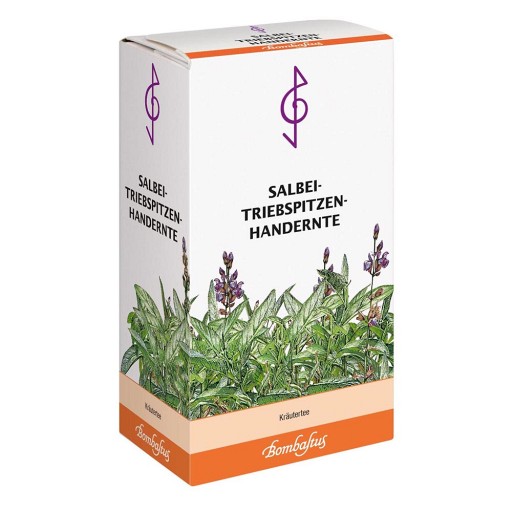 SALBEI TRIEBSPITZEN Tee Handernte - 25g - Arznei-, Früchte- & Kräutertees
