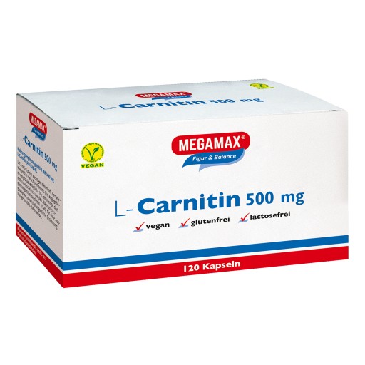 l carnitine powder in chile BulkSupplements L-Carnitine HCl Powder 100 Grams