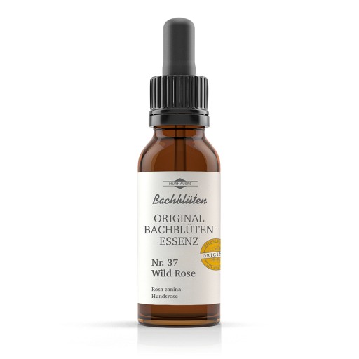 BACHBLÜTEN Murnauer Wild Rose Tropfen - 20ml