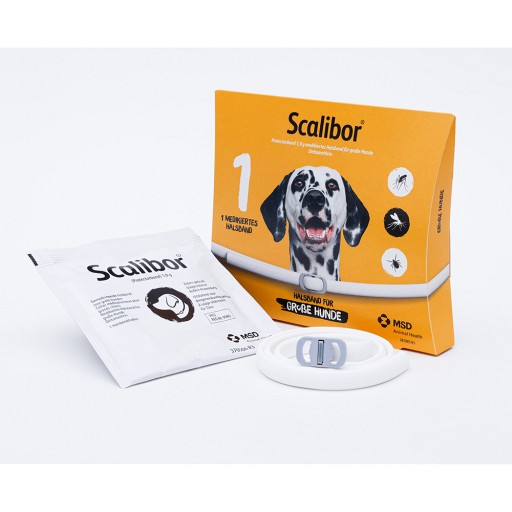score Optimistisk falsk SCALIBOR Protectorband 65 cm f.große Hunde (1 Stk) -  medikamente-per-klick.de