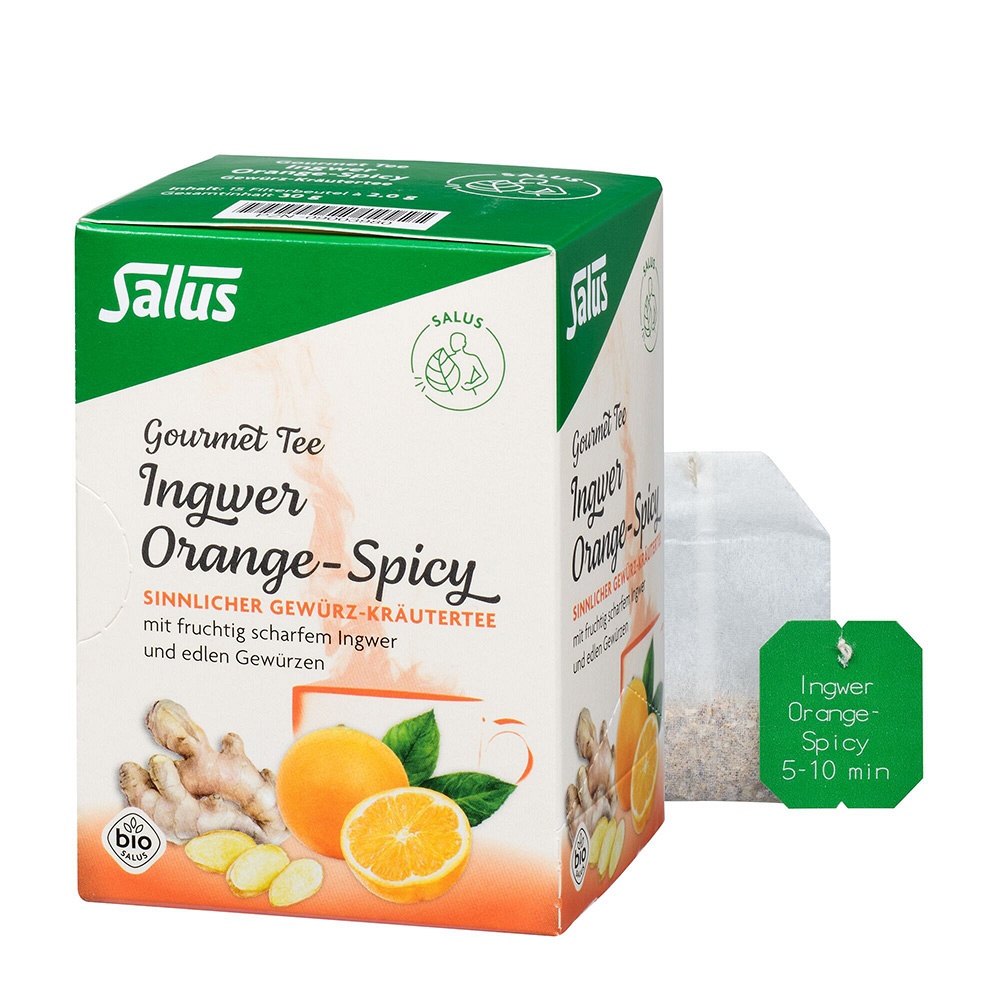INGWER ORANGE Spicy Tee Salus Filterbeutel - 15Stk - Teespezialitäten
