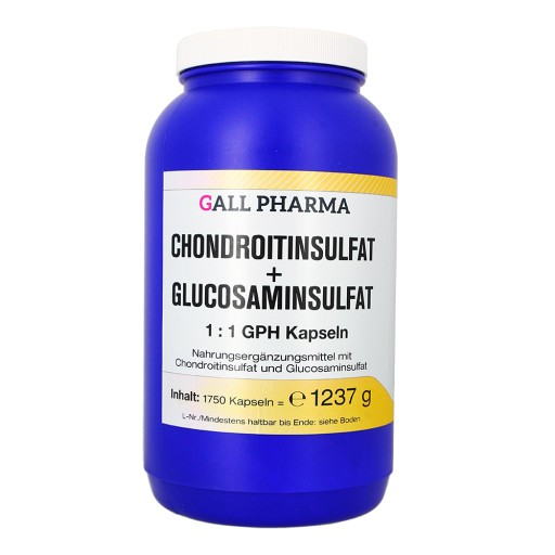 CHONDROITINSULFAT+Glusosaminsulfat 1:1 GPH Kapseln - 1750Stk