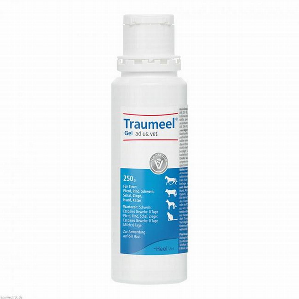 TRAUMEEL Gel ad us.vet. - 1X250g - Gelenke & Knochen