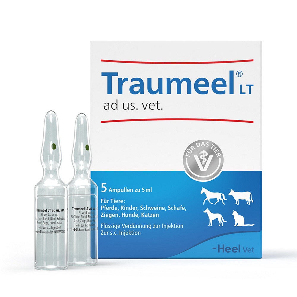TRAUMEEL LT ad us.vet.Ampullen - 5X5ml - Homöopathie