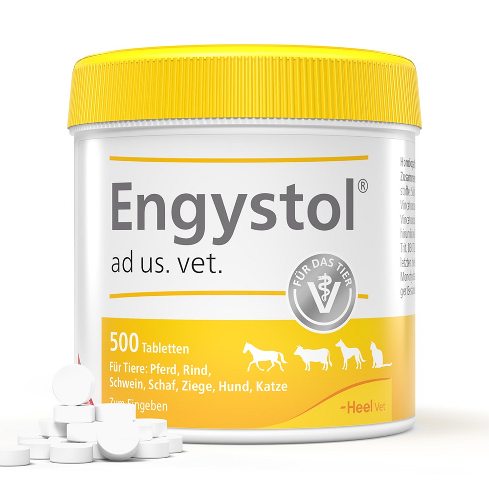 ENGYSTOL ad us.vet.Tabletten - 500Stk - Atemwege