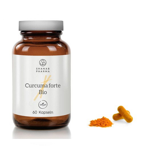 CURCUMA FORTE Bio+Bioperine vegan Kapseln - 60Stk - Abwehrkräfte