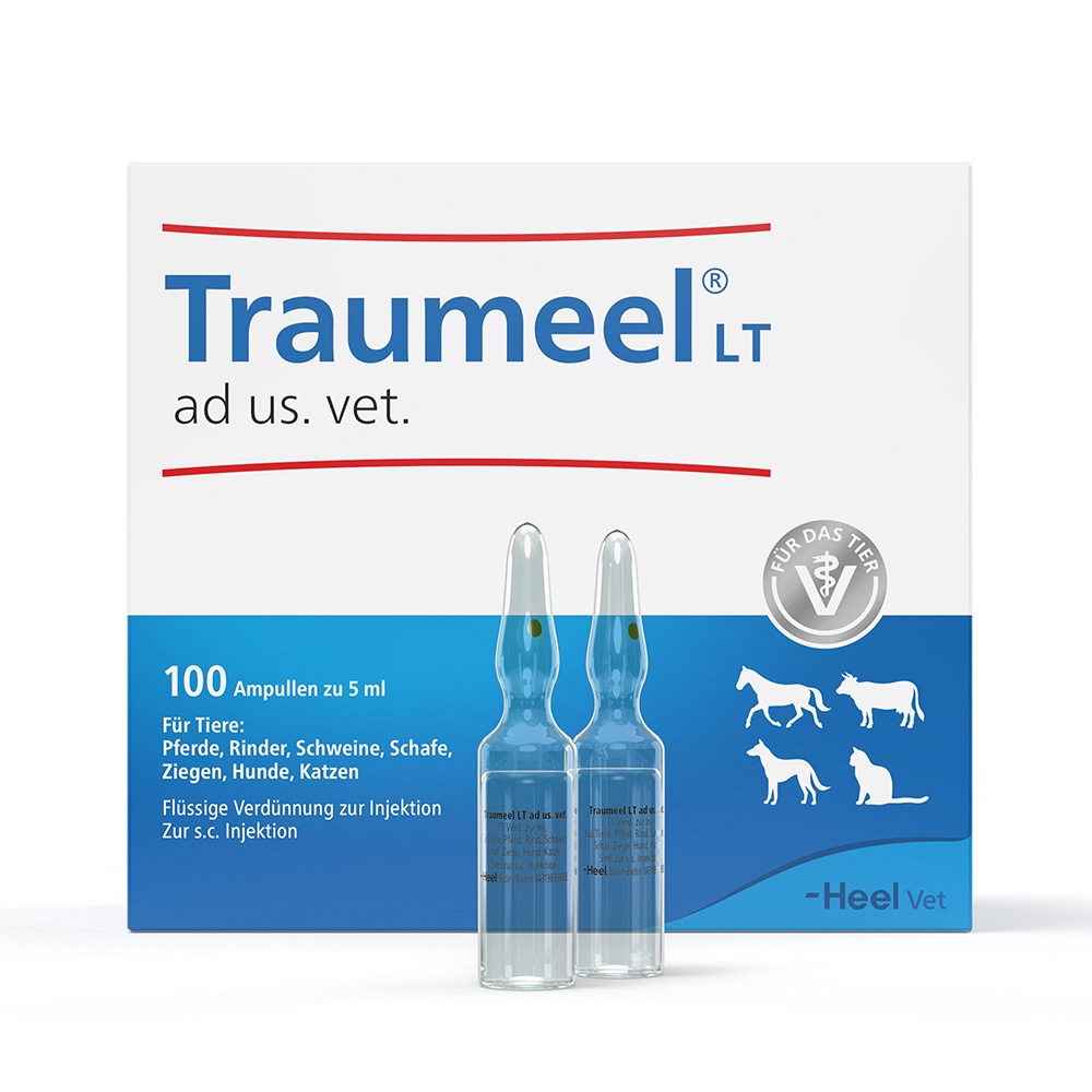 TRAUMEEL LT ad us.vet.Ampullen - 100X5ml