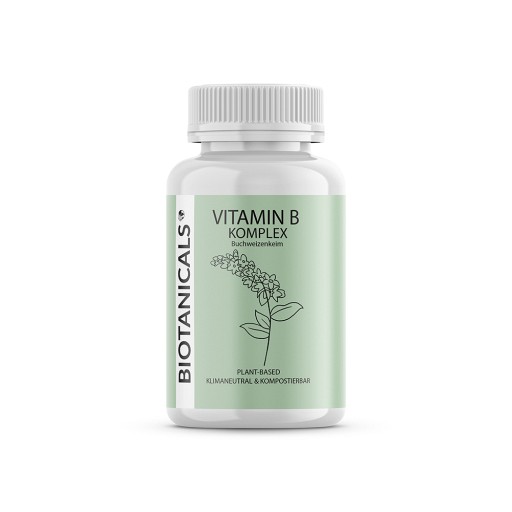 BIOTANICALS Vitamin B Kapseln - 90Stk - Vegan