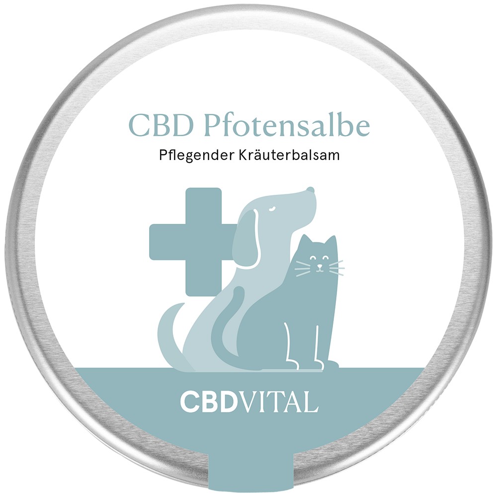 CBD VITAL CBD Pfotensalbe f.Hunde/Katzen - 100ml