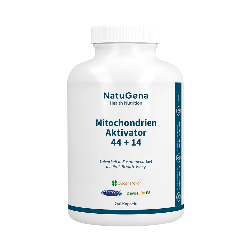 MITOCHONDRIEN Aktivator 44+14 Multi-Komplex Kaps. - 240Stk - Gedächtnis & Konzentration