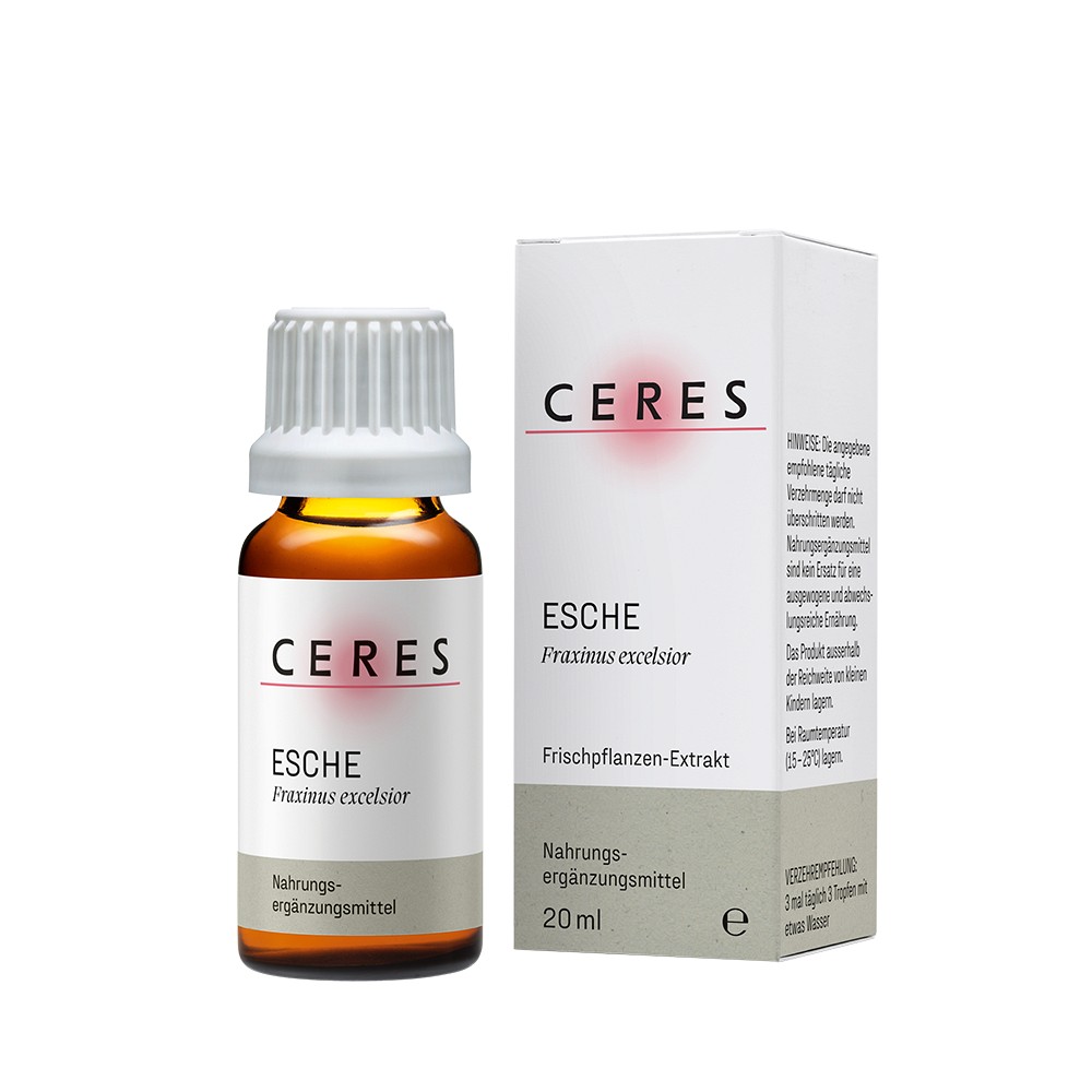 CERES Esche Fraxinus excelsior Extrakt Tro.z.Einn. - 20ml