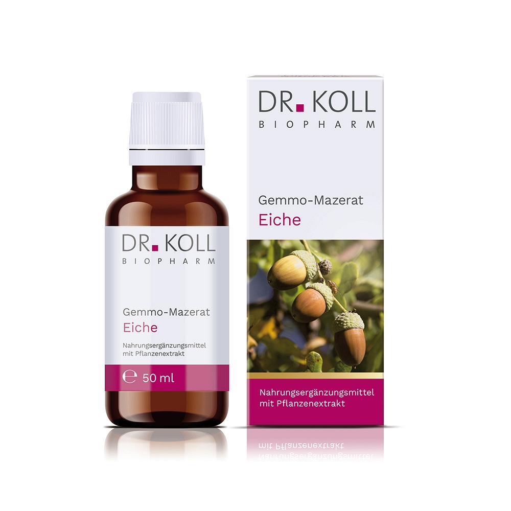 GEMMO-MAZERAT Eiche Dr.Koll Quercus peduncul.Tro. - 50ml - Entgiften-Entschlacken-Entsäuern