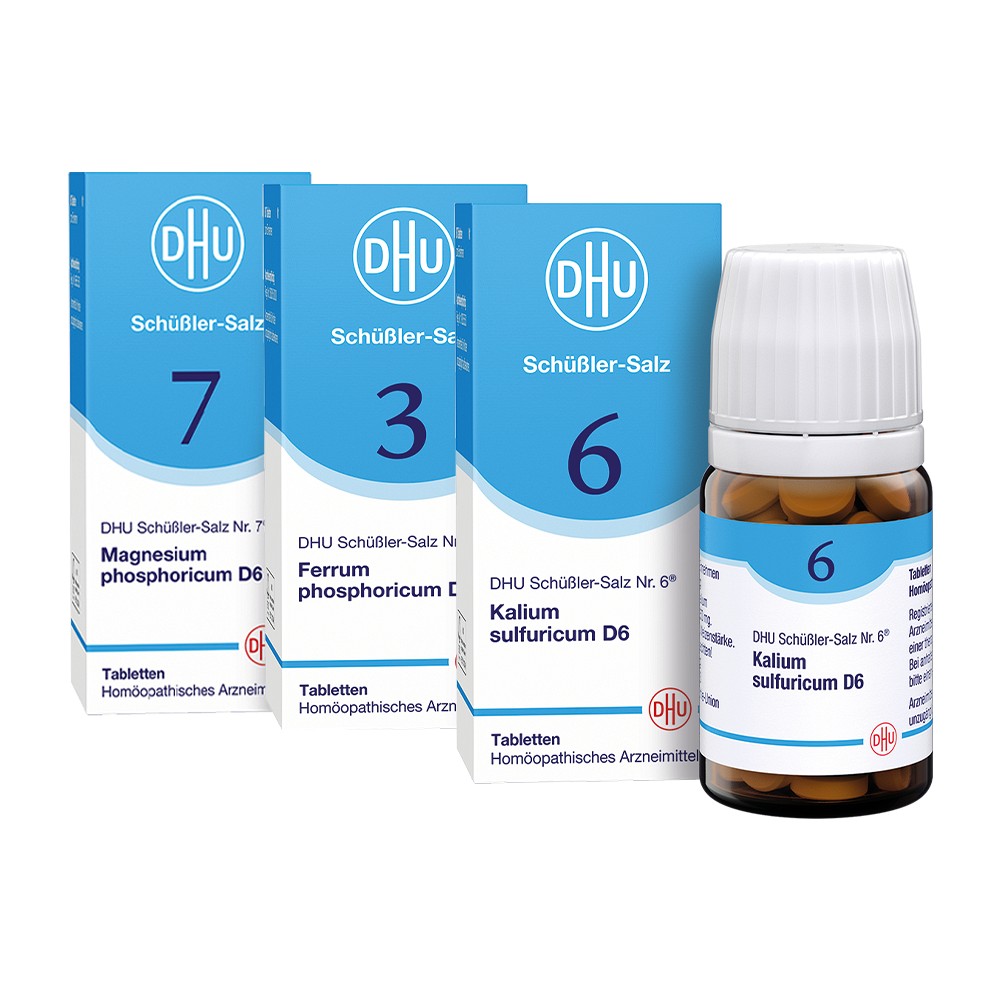 Schüssler-Salze Taschenapotheke: Anwendungsgebiete von A bis Z