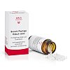 BRONCHI PLANTAGO Globuli velati - 20g - Komplex allgemein