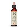 BACHBLÜTEN Red Chestnut Tropfen - 20ml - Bachblüten-Orginal®