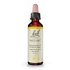 BACHBLÜTEN Wild Oat Tropfen - 20ml - Bachblüten-Orginal®