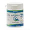 PETVITAL Arthro Tabletten vet. - 180g - Alter