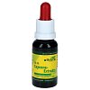 CAYENNE EXTRAKT sehr scharf - 20ml