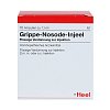 GRIPPE NOSODE Injeel Ampullen - 10Stk