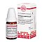 SOLIDAGO VIRGAUREA C 200 Globuli - 10g