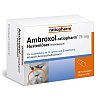 AMBROXOL-ratiopharm 75 mg Hustenlöser Retardkaps. - 50Stk - Hustenlöser