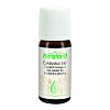 EUKALYPTUS ÖL Bio - 10ml