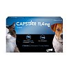 CAPSTAR 11,4 mg Tabletten f.Katzen/kleine Hunde - 6Stk - Zecken, Flöhe & Co.