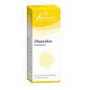 PHASEOLUS SIMILIAPLEX Tropfen - 50ml