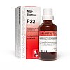 NAJA-GASTREU R22 Mischung - 50ml