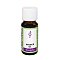 INGWER ÖL - 10ml - Ätherische Öle, Basisöle & Essenzen