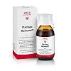 PLANTAGO HUSTENSAFT - 90ml - Pflanzliche Hustenmittel