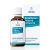 BRYOPHYLLUM ARGENTO cultum D 2 Dilution - 50ml