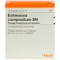 ECHINACEA COMPOSITUM SN Ampullen - 10Stk