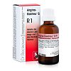 ANGINA-Gastreu S R1 Mischung - 50ml