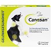 CANOSAN Kautabletten vet. - 30Stk - Alter