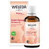 WELEDA Damm-Massageöl - 50ml - Hautpflege