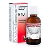 ACIDUMPHOS-Gastreu R40 Mischung - 50ml